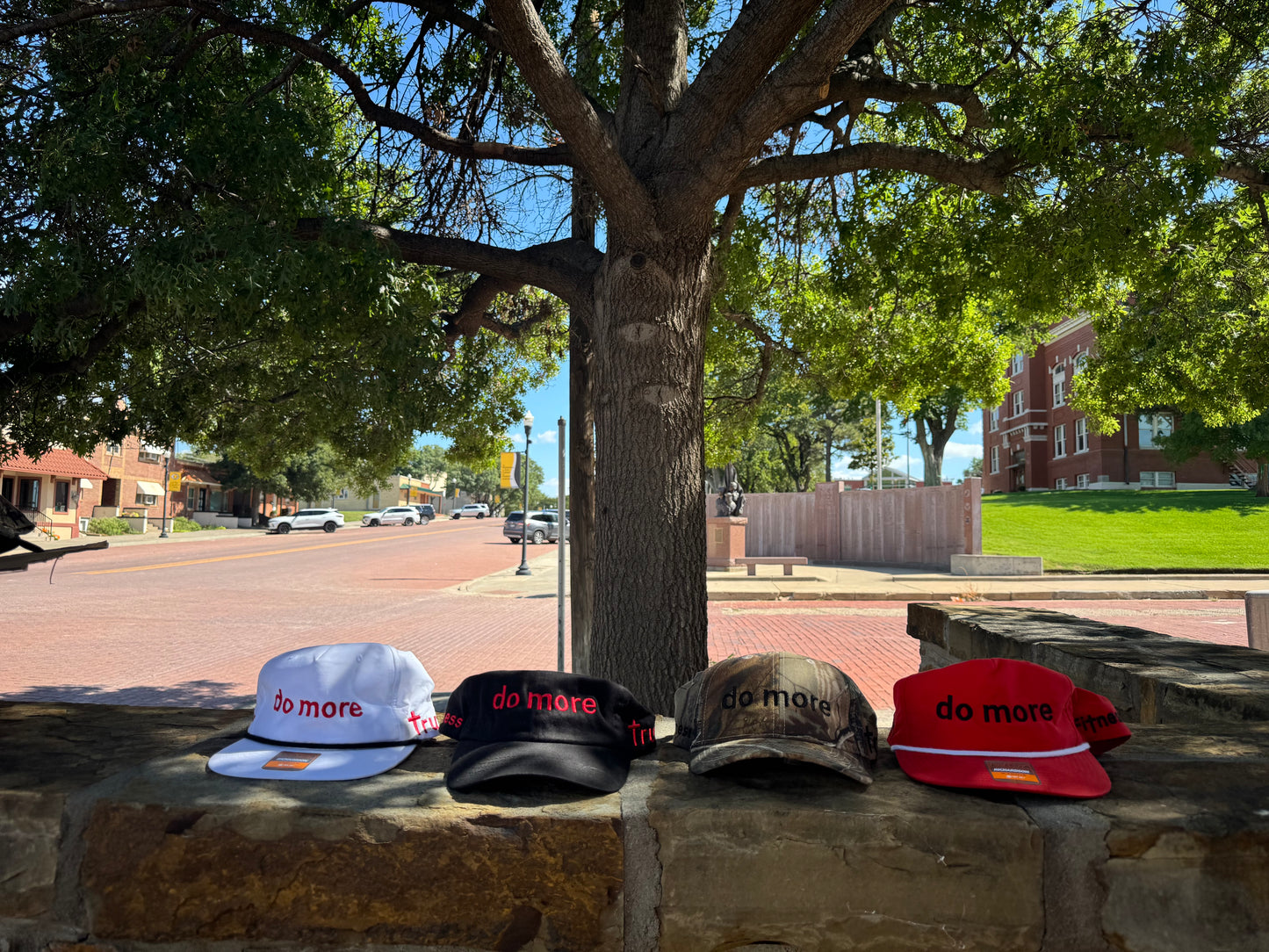 Truth Fitness Hats (do more)